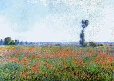 Claude Monet Poppy Field